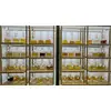 12ML PICK YOUR FRAGRANCE