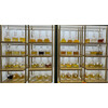 6ML PICK YOUR FRAGRANCE