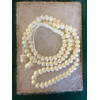 CAMEL BONE/TEETH TASBEEH