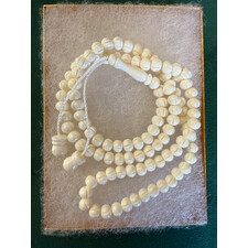 CAMEL BONE/TEETH TASBEEH