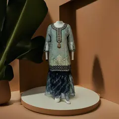 PAKISTANI BLUE ORGANZA SHARARA:GHAGRA CHOLI