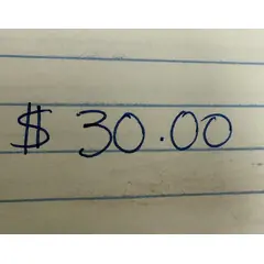 30 MISCELLANEOUS