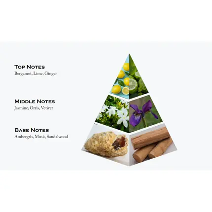 AMIR FANCY ATTAR OIL