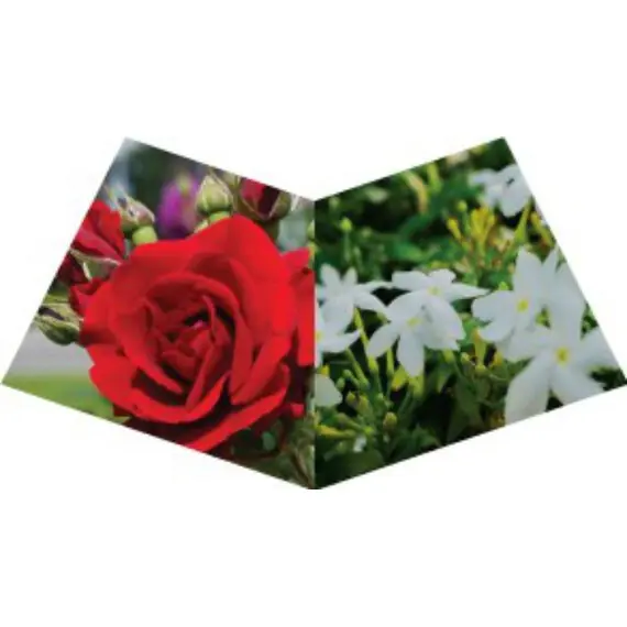 NASEEM GIFT SET
