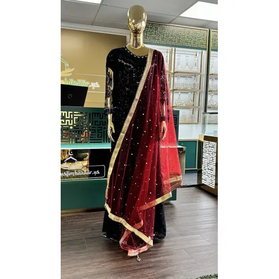 NET DUPATTA W MIRROR
