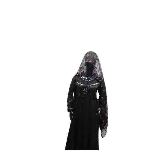 PAKISTANI BLACK EMBROIDERY NET DRESS