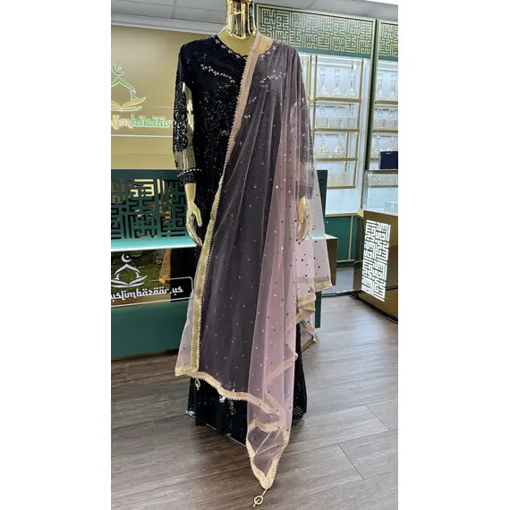 NET DUPATTA W MIRROR