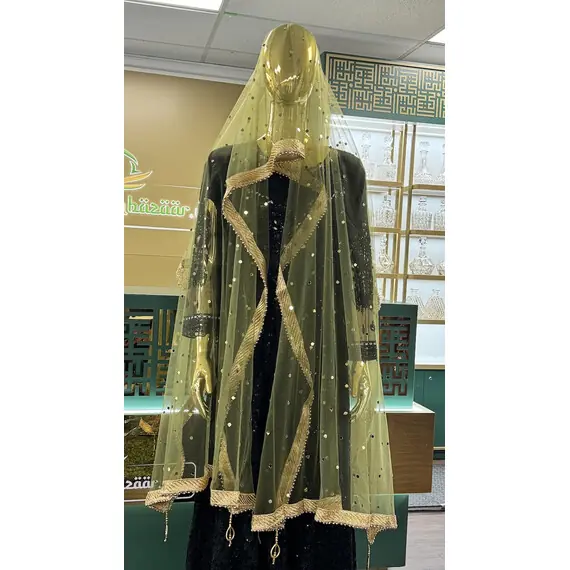 NET DUPATTA W MIRROR