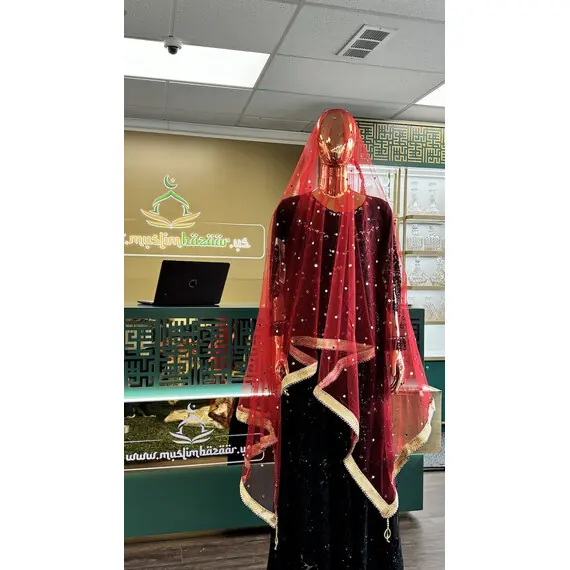 NET DUPATTA W MIRROR