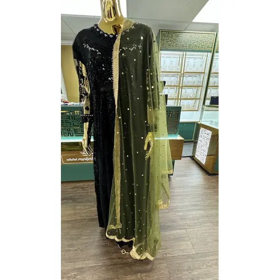 NET DUPATTA W MIRROR
