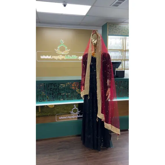 NET DUPATTA W MIRROR L BORDER