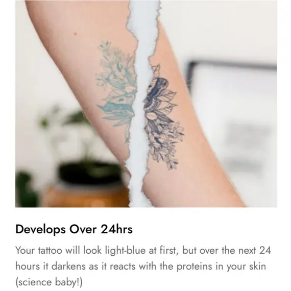 HENNA TATTOO FINGERS