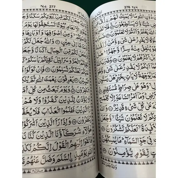 THE HOLY QURAN 15 LINES INDO PAK SCRIPT