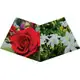 NASEEM GIFT SET