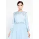 TK LONG SLEEVE MAXI TULLE GOWN