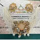 PAKISTANI CHOKER SET