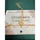 PAKISTANI CHOKER SET