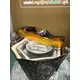 ELECTRICAL BAKHOOR BURNER